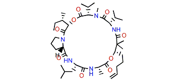 Kohamamide B